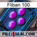 Fliban 100 04